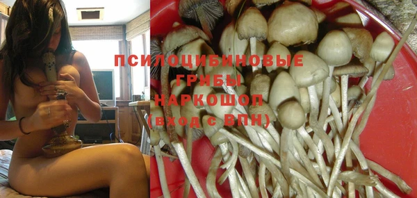 молекула духа Баксан